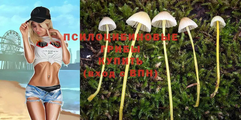 купить закладку  Уяр  Псилоцибиновые грибы Magic Shrooms 